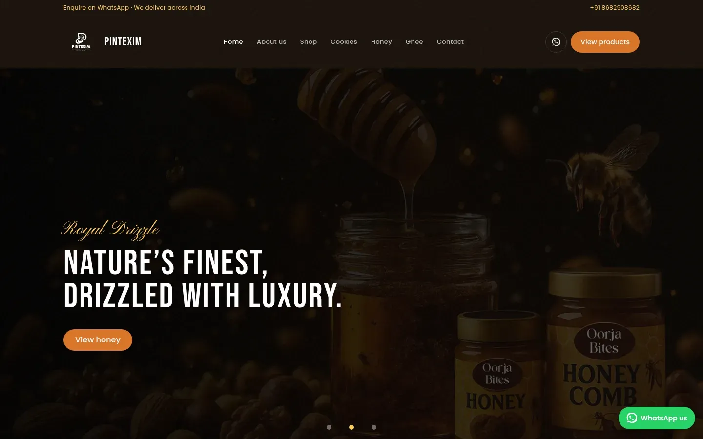 Homepage of Pintexim